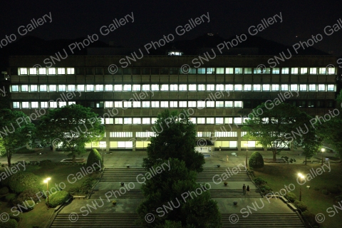중앙도서관 봄 야간 사진