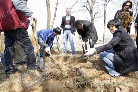환경대학원 수목가꾸기