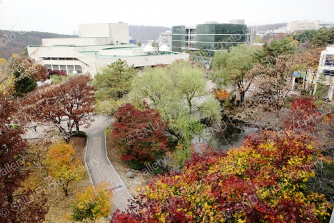 제 1 공학관, 차세대자동차 신기술연구센터, 자하연