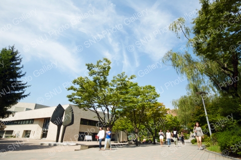 2014 가을 문화관 앞 스케치