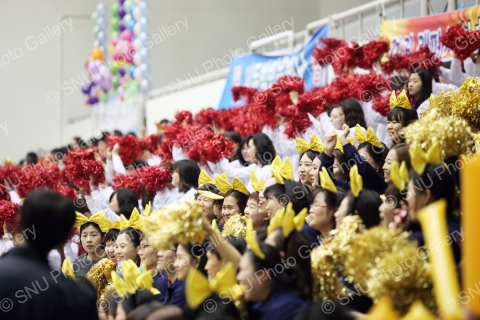 2013 교직원체육대회